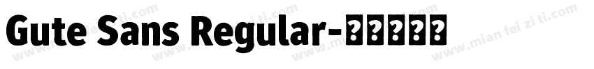 Gute Sans Regular字体转换